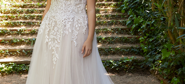 Delicate lace on the back of a bride's dress stock photo - OFFSET